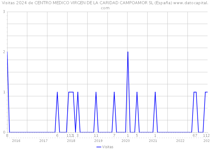 Visitas 2024 de CENTRO MEDICO VIRGEN DE LA CARIDAD CAMPOAMOR SL (España) 