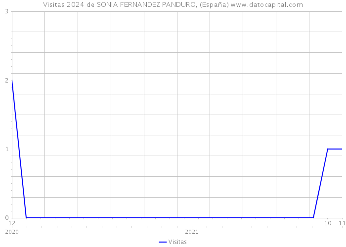 Visitas 2024 de SONIA FERNANDEZ PANDURO, (España) 