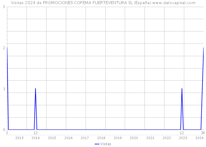Visitas 2024 de PROMOCIONES COFEMA FUERTEVENTURA SL (España) 