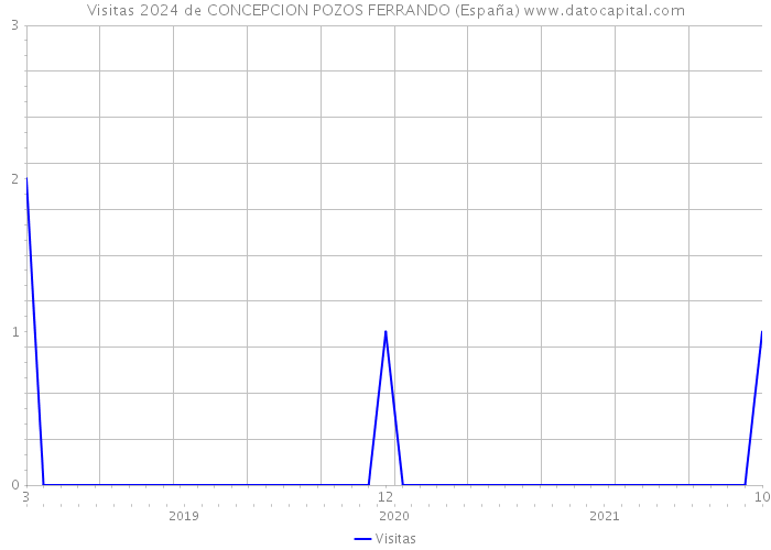 Visitas 2024 de CONCEPCION POZOS FERRANDO (España) 