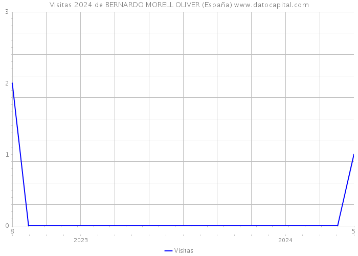 Visitas 2024 de BERNARDO MORELL OLIVER (España) 