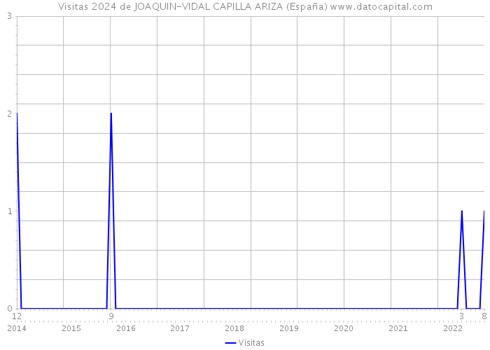 Visitas 2024 de JOAQUIN-VIDAL CAPILLA ARIZA (España) 
