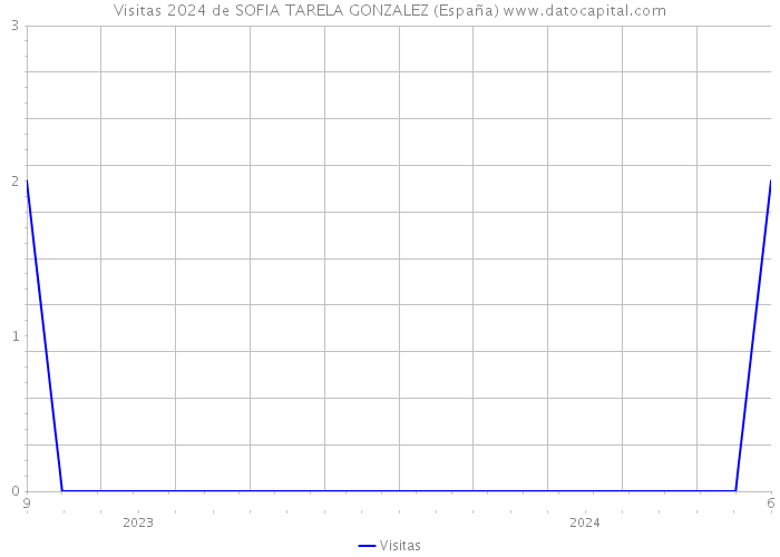 Visitas 2024 de SOFIA TARELA GONZALEZ (España) 