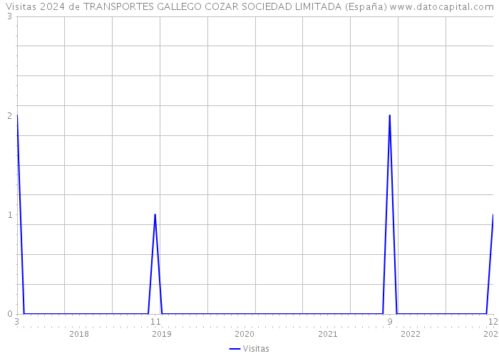 Visitas 2024 de TRANSPORTES GALLEGO COZAR SOCIEDAD LIMITADA (España) 