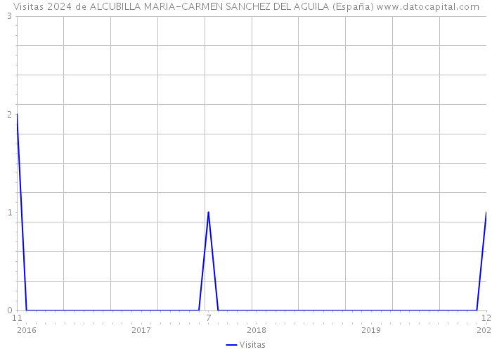 Visitas 2024 de ALCUBILLA MARIA-CARMEN SANCHEZ DEL AGUILA (España) 