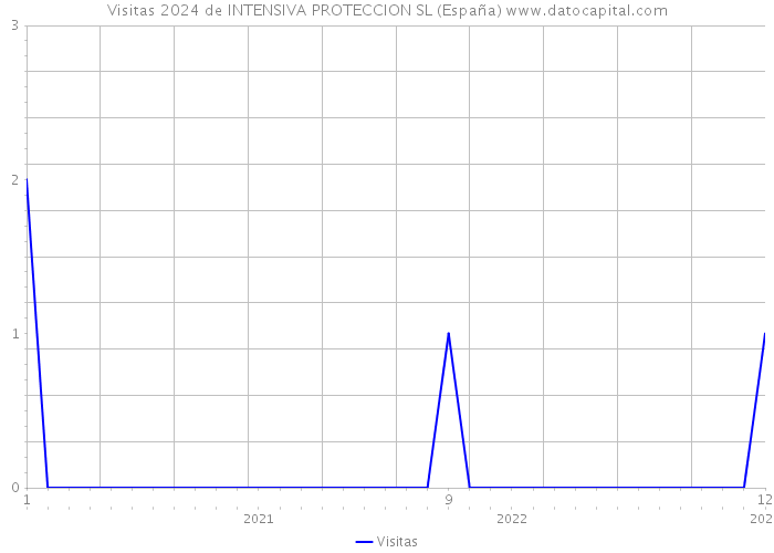 Visitas 2024 de INTENSIVA PROTECCION SL (España) 