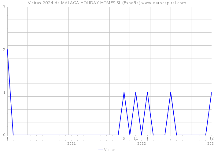 Visitas 2024 de MALAGA HOLIDAY HOMES SL (España) 