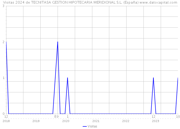 Visitas 2024 de TECNITASA GESTION HIPOTECARIA MERIDIONAL S.L. (España) 