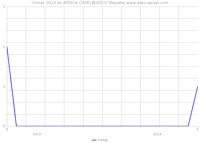 Visitas 2024 de JESSICA CANO BLASCO (España) 