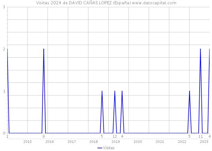 Visitas 2024 de DAVID CAÑAS LOPEZ (España) 