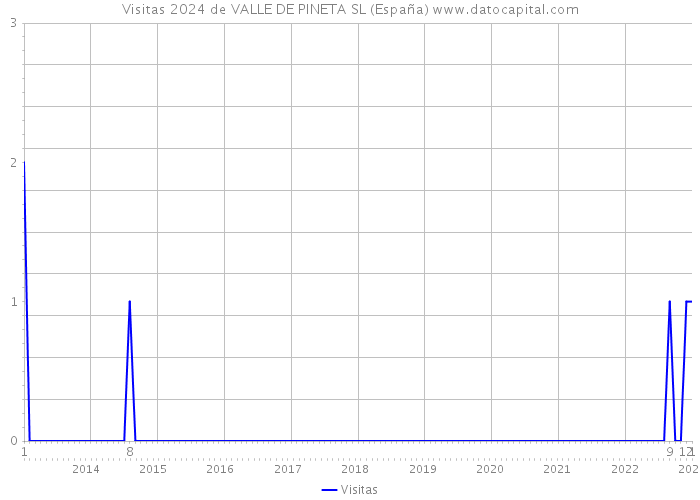 Visitas 2024 de VALLE DE PINETA SL (España) 