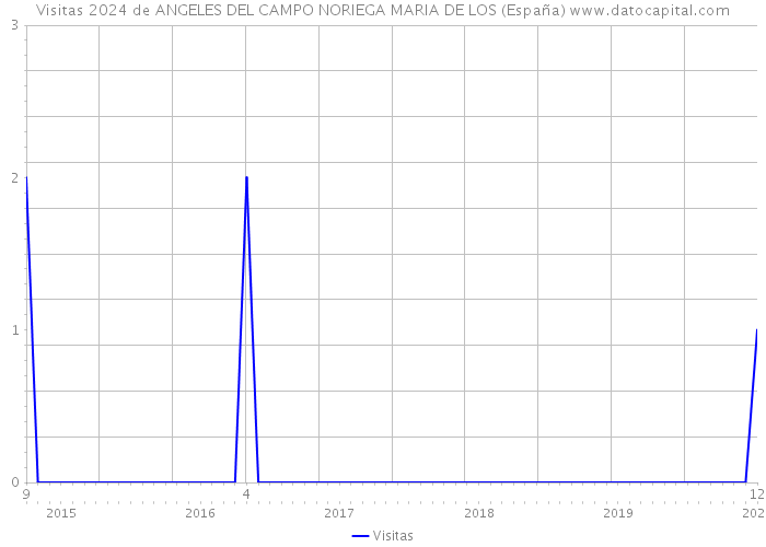 Visitas 2024 de ANGELES DEL CAMPO NORIEGA MARIA DE LOS (España) 