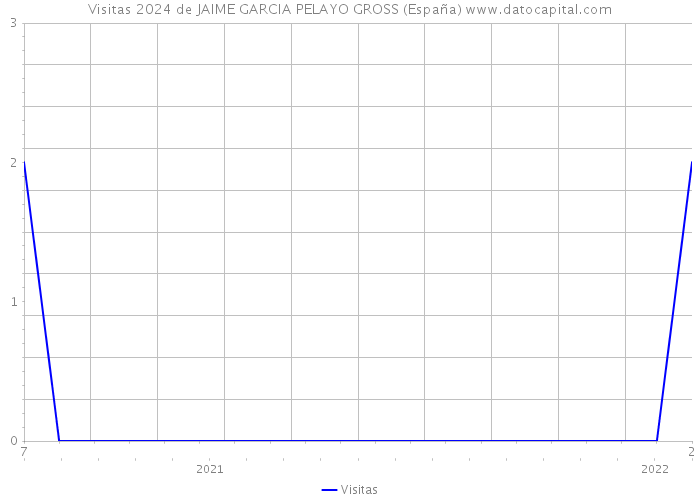 Visitas 2024 de JAIME GARCIA PELAYO GROSS (España) 