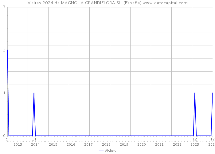 Visitas 2024 de MAGNOLIA GRANDIFLORA SL. (España) 