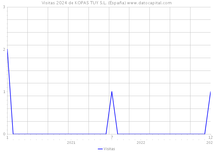 Visitas 2024 de KOPAS TUY S.L. (España) 