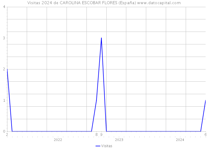 Visitas 2024 de CAROLINA ESCOBAR FLORES (España) 
