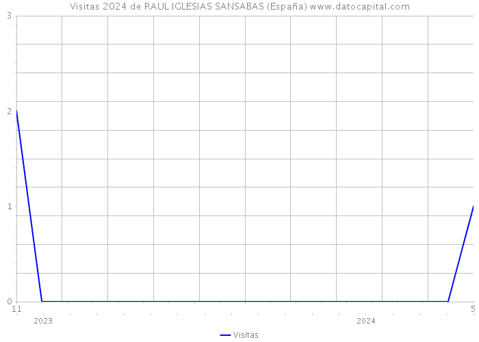 Visitas 2024 de RAUL IGLESIAS SANSABAS (España) 