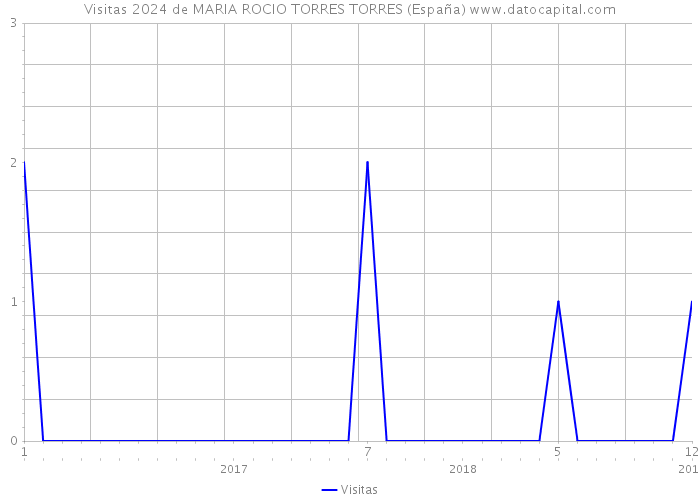 Visitas 2024 de MARIA ROCIO TORRES TORRES (España) 