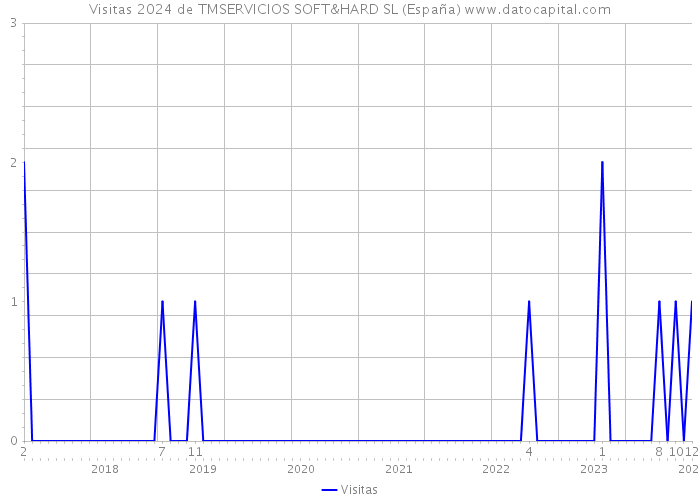 Visitas 2024 de TMSERVICIOS SOFT&HARD SL (España) 