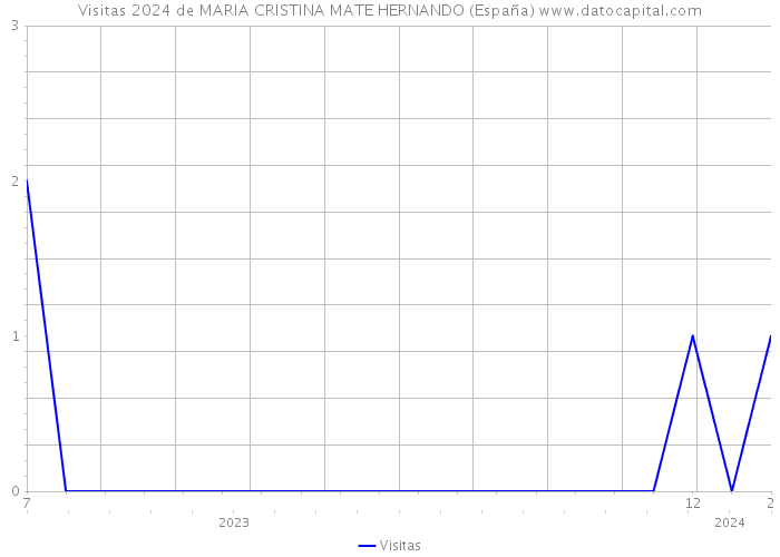 Visitas 2024 de MARIA CRISTINA MATE HERNANDO (España) 