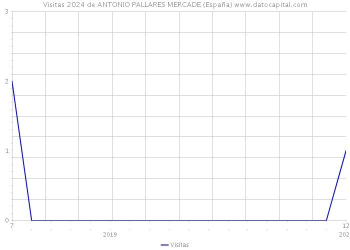 Visitas 2024 de ANTONIO PALLARES MERCADE (España) 
