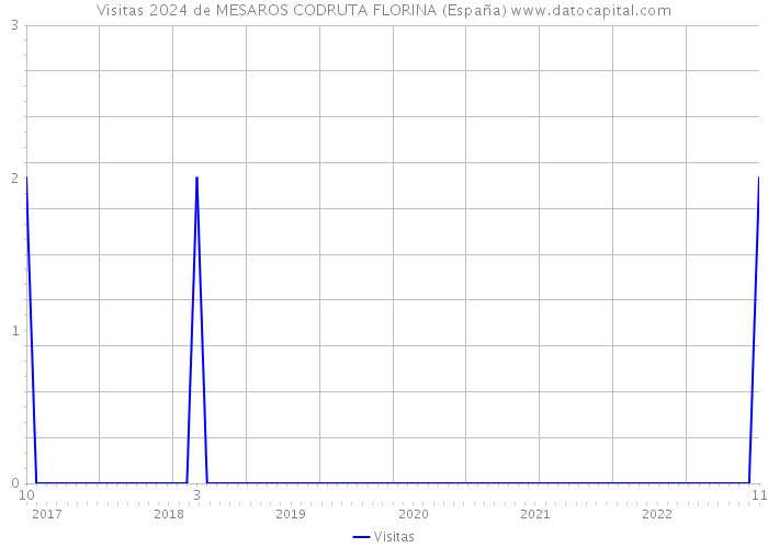 Visitas 2024 de MESAROS CODRUTA FLORINA (España) 