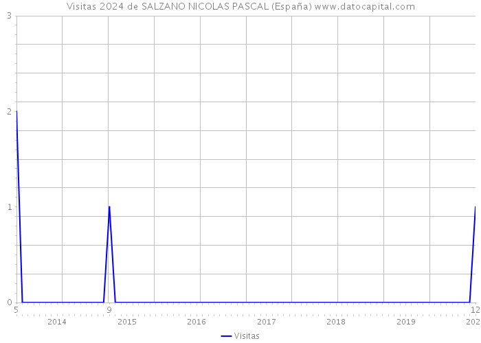 Visitas 2024 de SALZANO NICOLAS PASCAL (España) 