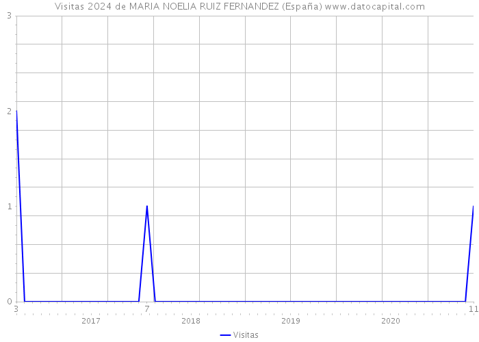 Visitas 2024 de MARIA NOELIA RUIZ FERNANDEZ (España) 