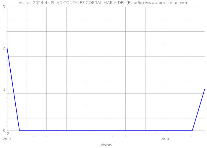 Visitas 2024 de PILAR GONZALEZ CORRAL MARIA DEL (España) 
