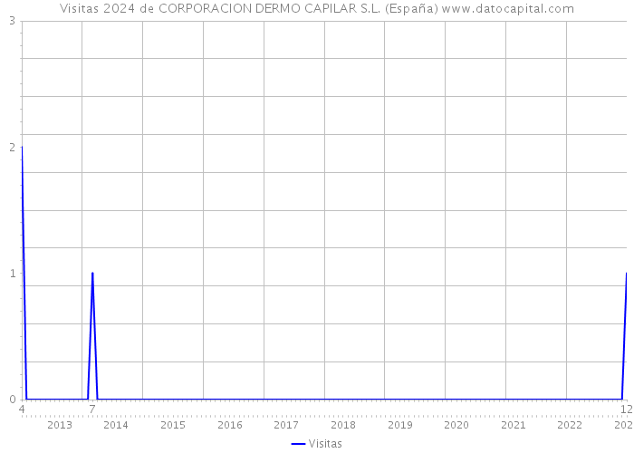 Visitas 2024 de CORPORACION DERMO CAPILAR S.L. (España) 