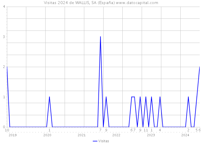 Visitas 2024 de WALLIS, SA (España) 