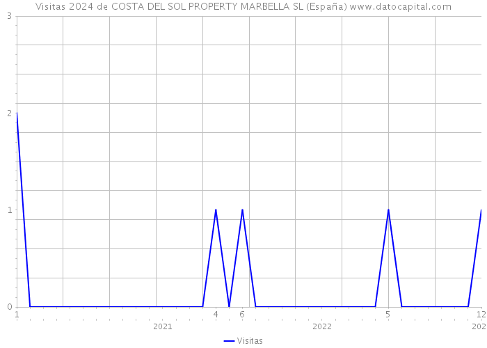 Visitas 2024 de COSTA DEL SOL PROPERTY MARBELLA SL (España) 