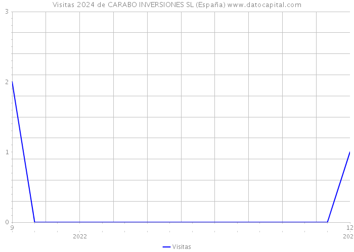 Visitas 2024 de CARABO INVERSIONES SL (España) 