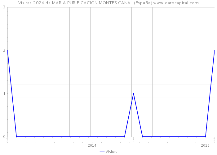 Visitas 2024 de MARIA PURIFICACION MONTES CANAL (España) 