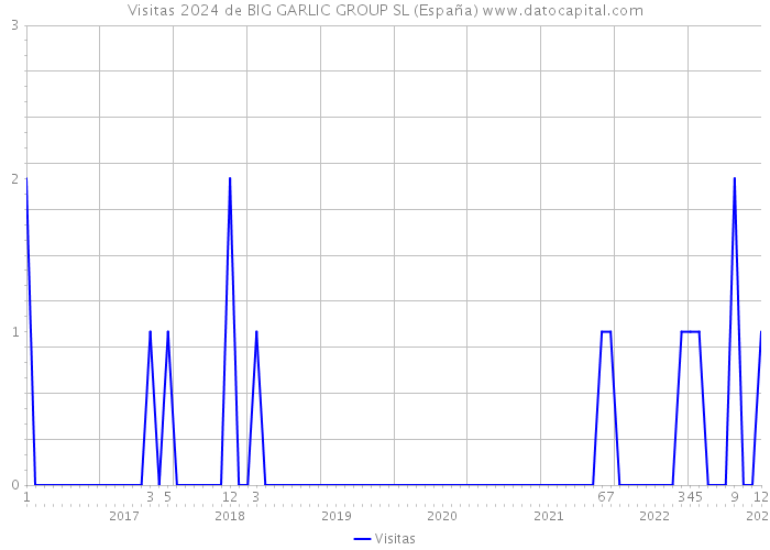 Visitas 2024 de BIG GARLIC GROUP SL (España) 