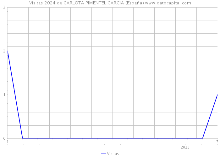Visitas 2024 de CARLOTA PIMENTEL GARCIA (España) 