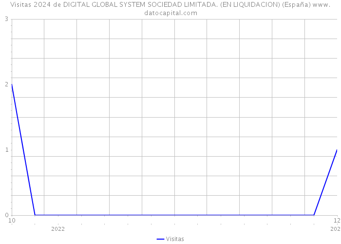 Visitas 2024 de DIGITAL GLOBAL SYSTEM SOCIEDAD LIMITADA. (EN LIQUIDACION) (España) 