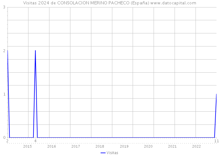 Visitas 2024 de CONSOLACION MERINO PACHECO (España) 