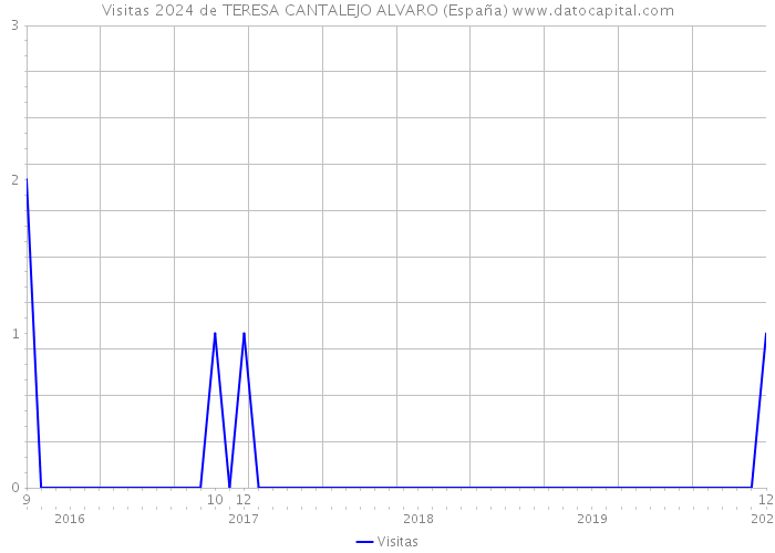 Visitas 2024 de TERESA CANTALEJO ALVARO (España) 