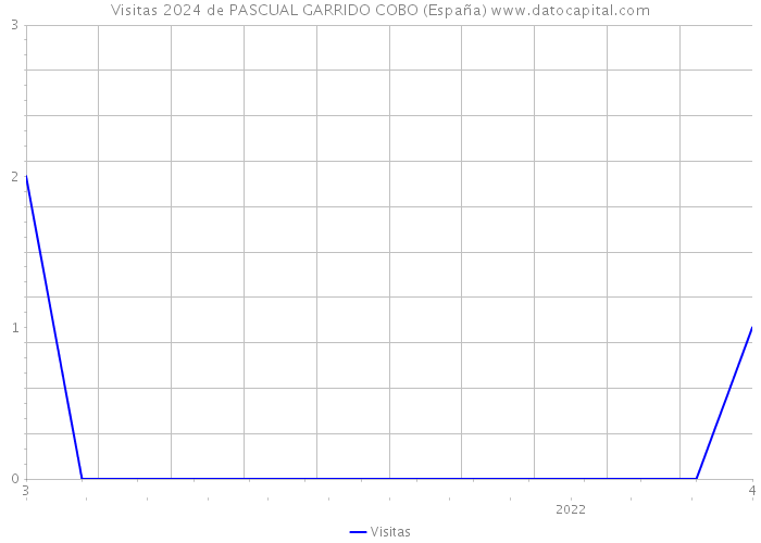 Visitas 2024 de PASCUAL GARRIDO COBO (España) 
