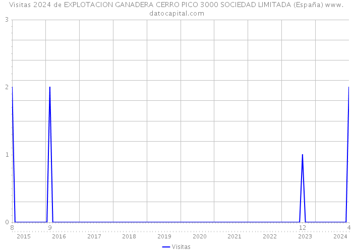 Visitas 2024 de EXPLOTACION GANADERA CERRO PICO 3000 SOCIEDAD LIMITADA (España) 