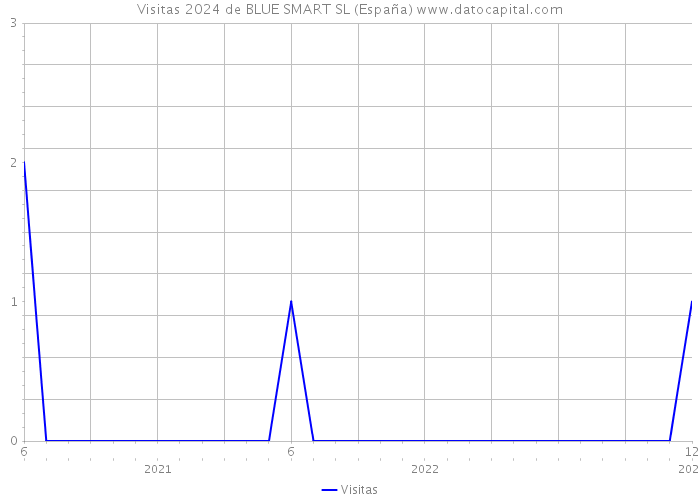 Visitas 2024 de BLUE SMART SL (España) 