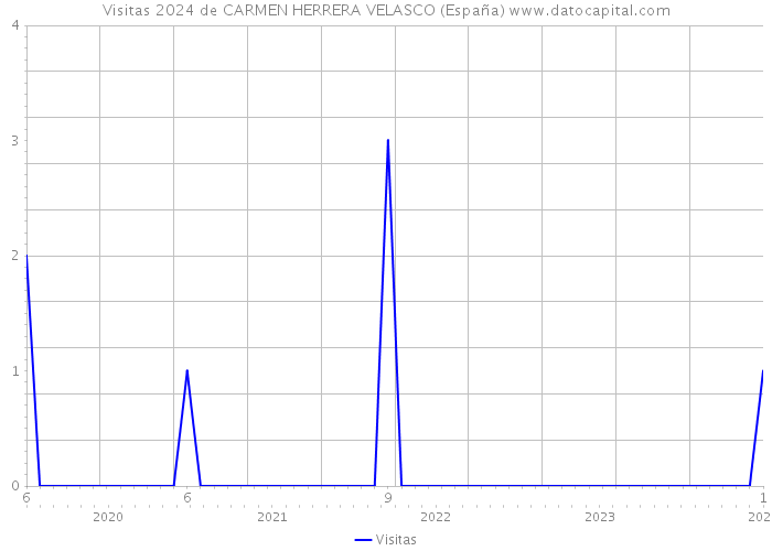 Visitas 2024 de CARMEN HERRERA VELASCO (España) 
