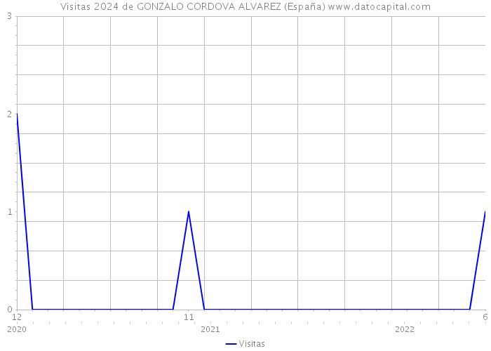 Visitas 2024 de GONZALO CORDOVA ALVAREZ (España) 