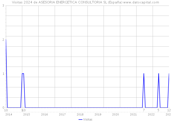 Visitas 2024 de ASESORIA ENERGETICA CONSULTORIA SL (España) 