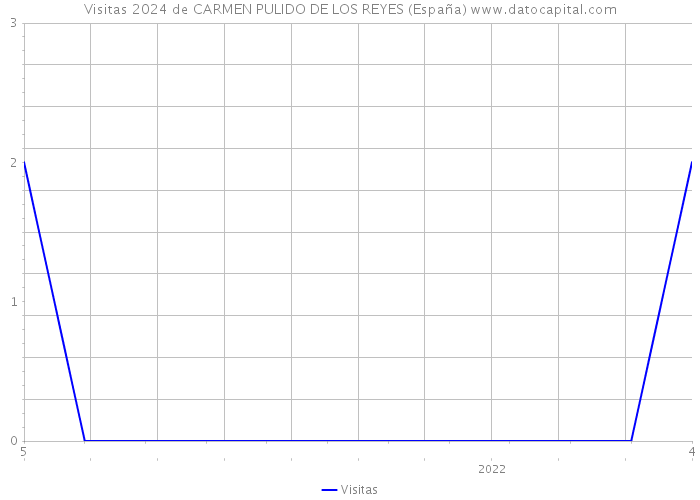 Visitas 2024 de CARMEN PULIDO DE LOS REYES (España) 