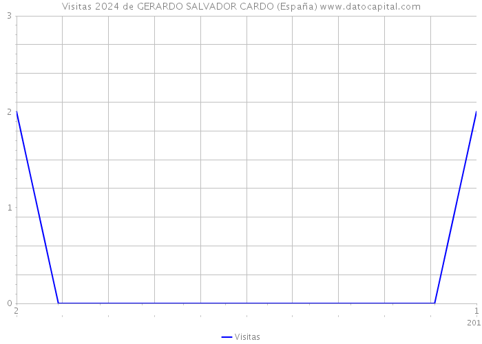Visitas 2024 de GERARDO SALVADOR CARDO (España) 