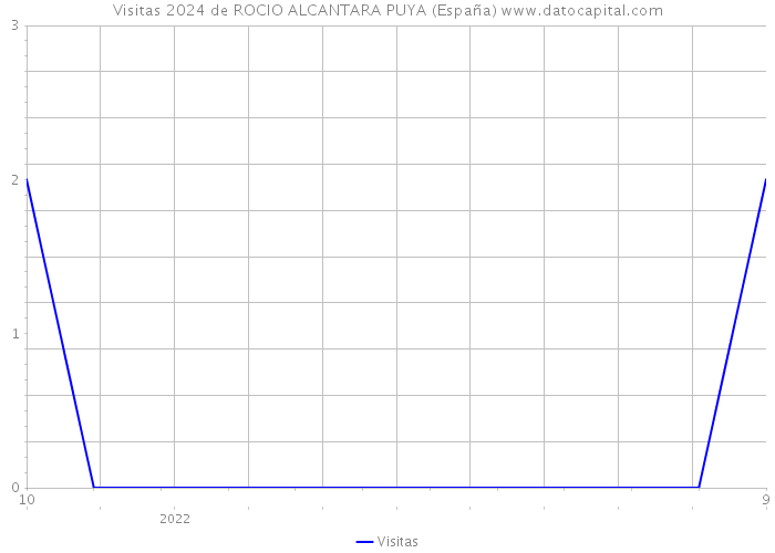 Visitas 2024 de ROCIO ALCANTARA PUYA (España) 