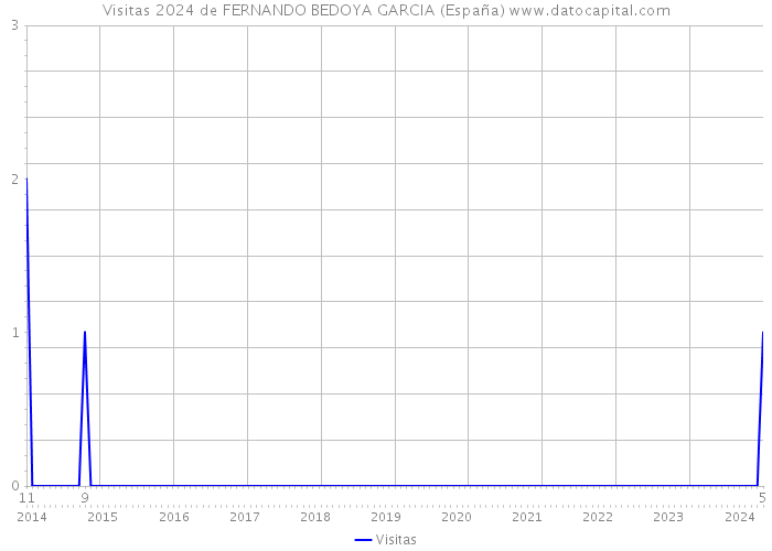Visitas 2024 de FERNANDO BEDOYA GARCIA (España) 