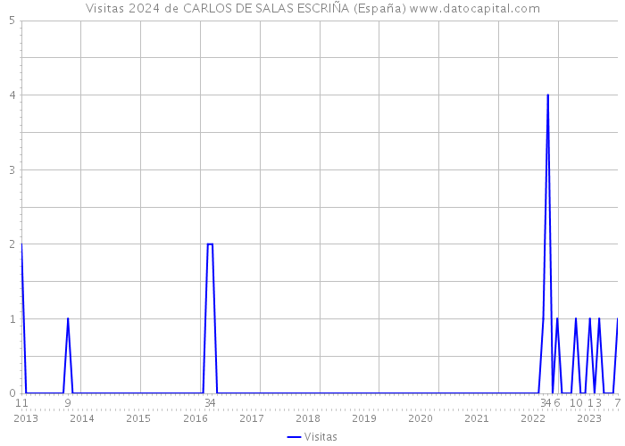 Visitas 2024 de CARLOS DE SALAS ESCRIÑA (España) 